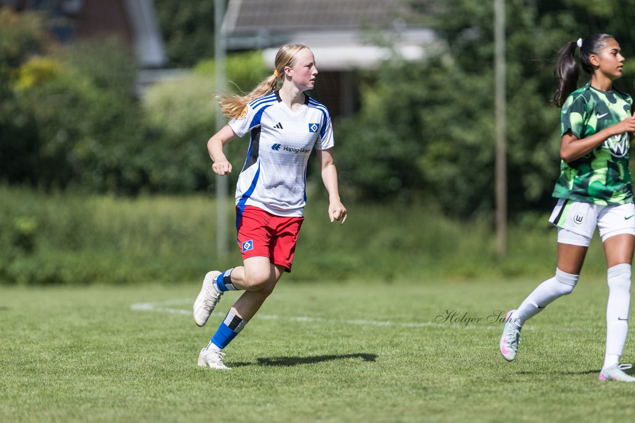 Bild 273 - wBJ Hamburger SV - VfL Wolfsburg : Ergebnis: 5:1